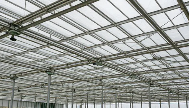 用户行为分析中，外链建设的两种做法与实际取舍